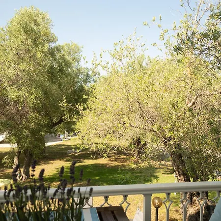 Iro S House * Chaniotis